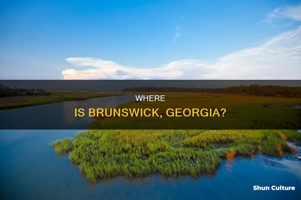 what count is brunswick ga in