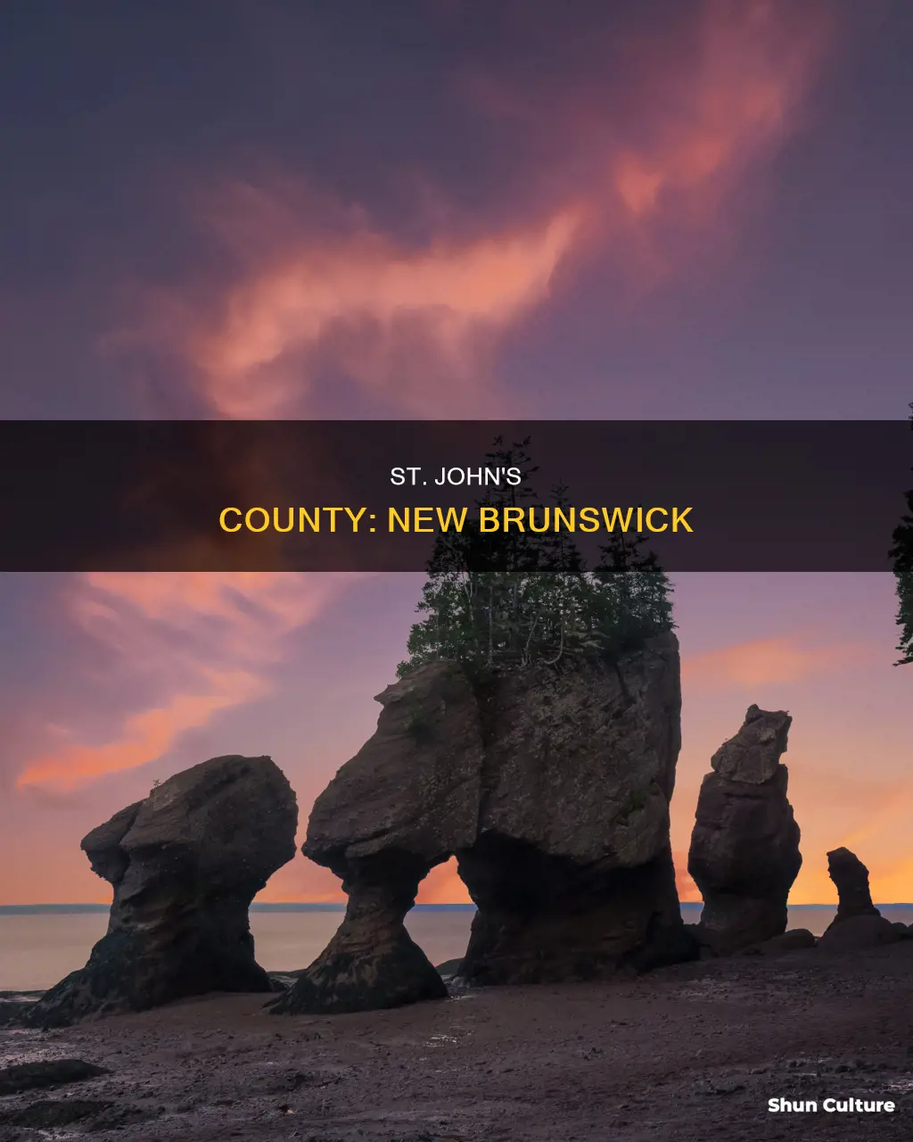 what countie is st john new brunswick in