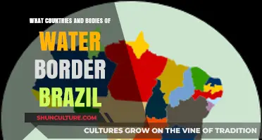 Brazil's Borders: Neighboring Countries and Surrounding Bodies of Water Explained