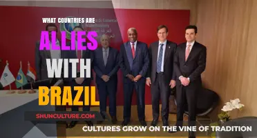 Brazil's Global Partnerships: Key Allies and International Collaborations