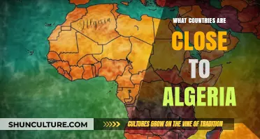 Exploring Algeria's Neighbors: Nearby Countries and Their Unique Connections