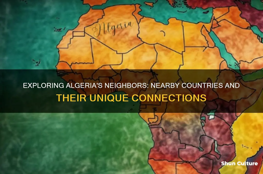 what countries are close to algeria