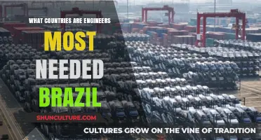 Brazil's Engineering Demand: Where Are Professionals Most Needed?