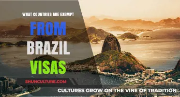 Brazil Visa-Free Travel: Which Countries Enjoy Exemption Privileges?