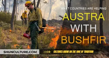 Global Support for Australia: Who's Helping Fight the Bushfires?