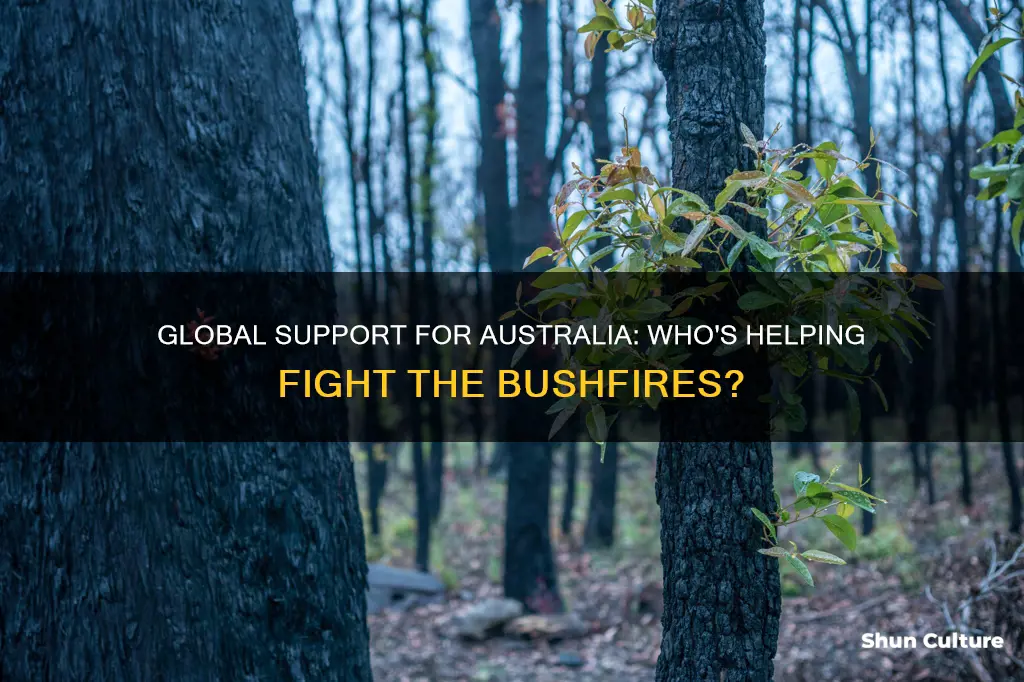 what countries are helping australia with bushfires