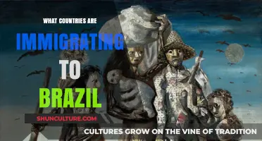 Exploring the Top Countries Sending Immigrants to Brazil Today
