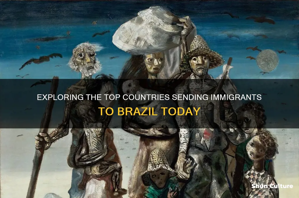 what countries are immigrating to brazil