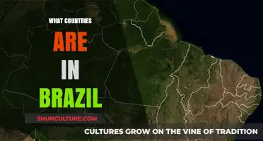 Exploring Brazil's Unique Geography: Is It a Country or a Continent?