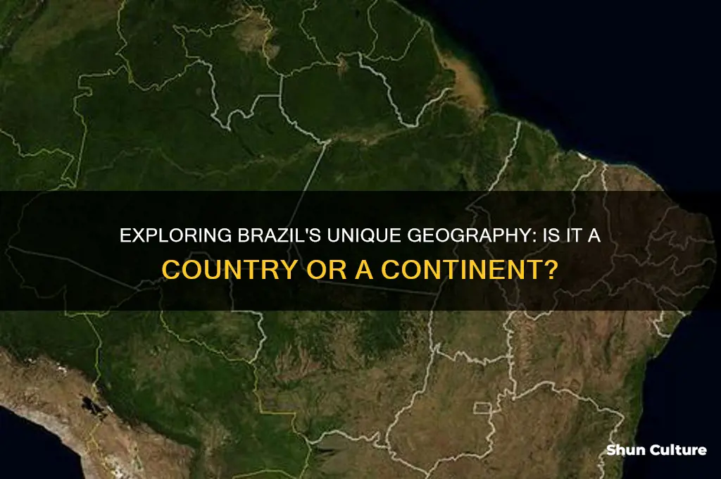 what countries are in brazil