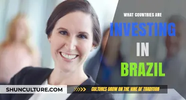Global Investors Eye Brazil: Key Countries Driving Economic Growth