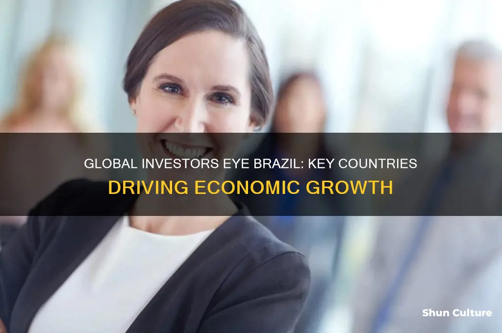 what countries are investing in brazil