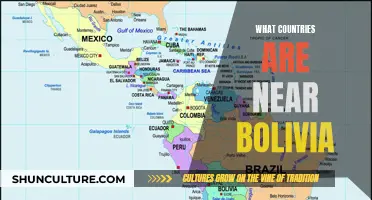 Exploring Bolivia's Neighbors: Which Countries Are Nearby?