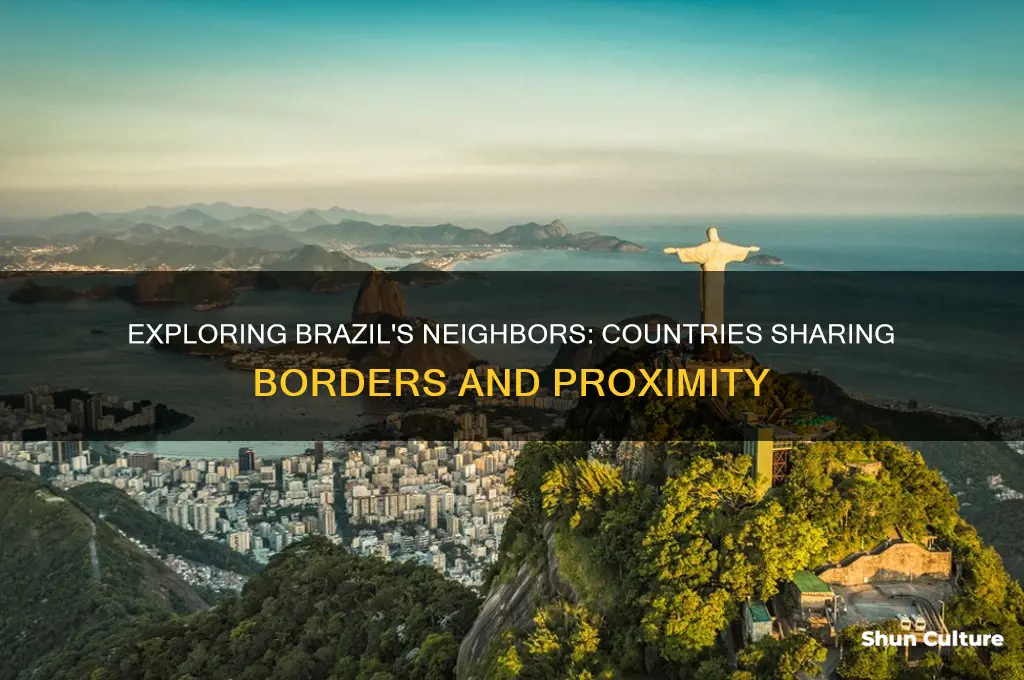 what countries are near brazil