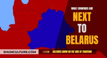 Belarus' Neighbors: Exploring the Bordering Countries