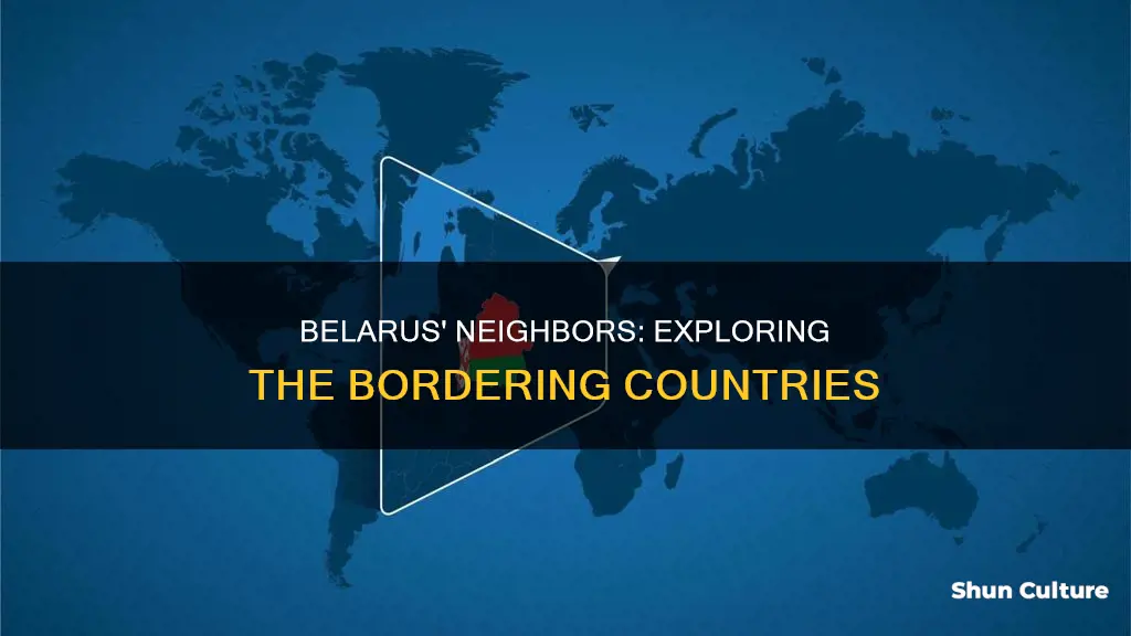 what countries are next to belarus