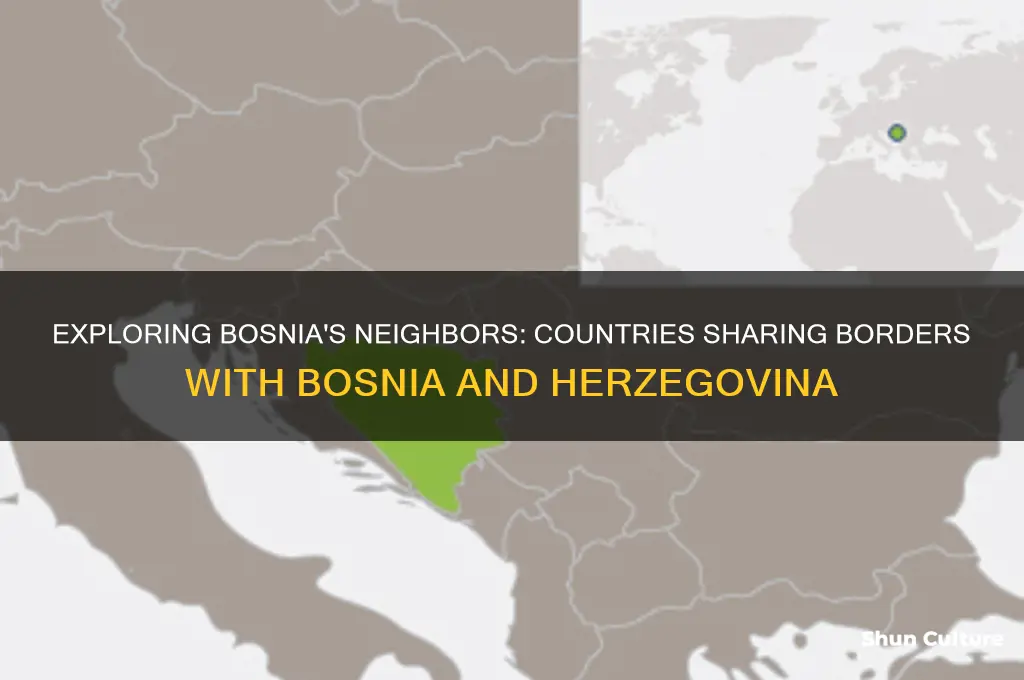 what countries are on the border of bosnia