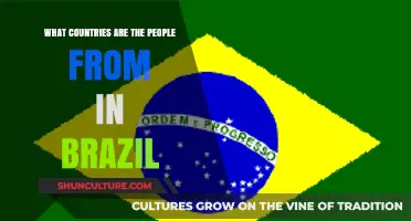 Exploring Brazil's Cultural Mosaic: Origins of Its Diverse Population