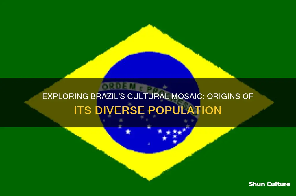 what countries are the people from in brazil