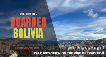 Exploring Bolivia's Neighbors: Which Countries Share Its Borders?