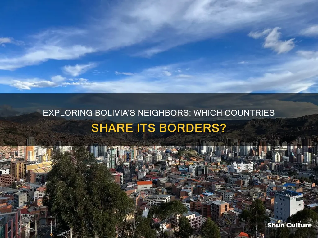 what countries boarder bolivia