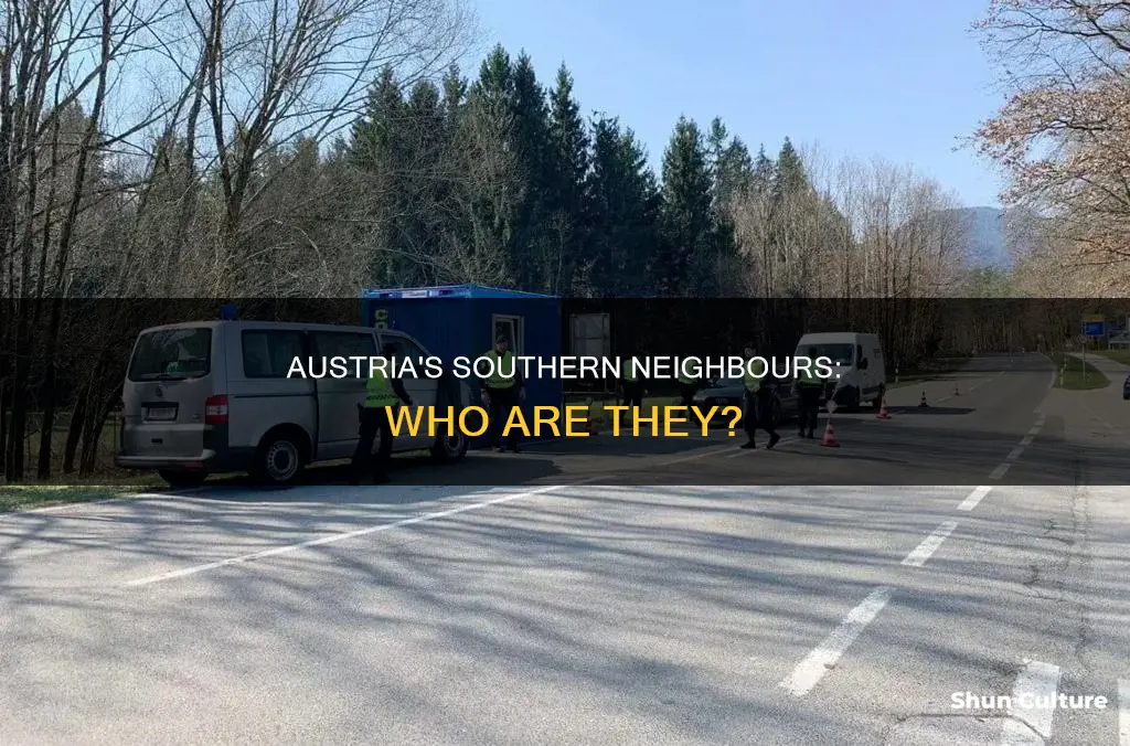 what countries border austria on the south