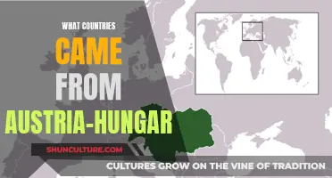 The Many Nations Born from Austria-Hungary's Legacy