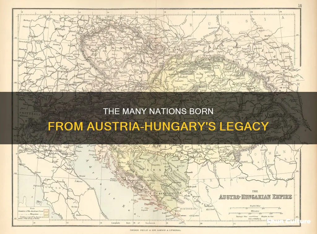 what countries came from austria-hungary