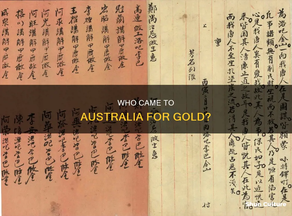 what countries came to australia for the gold rush