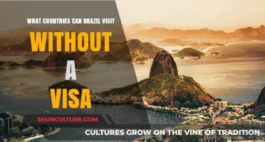 Visa-Free Travel: Countries Brazilians Can Visit Without a Visa