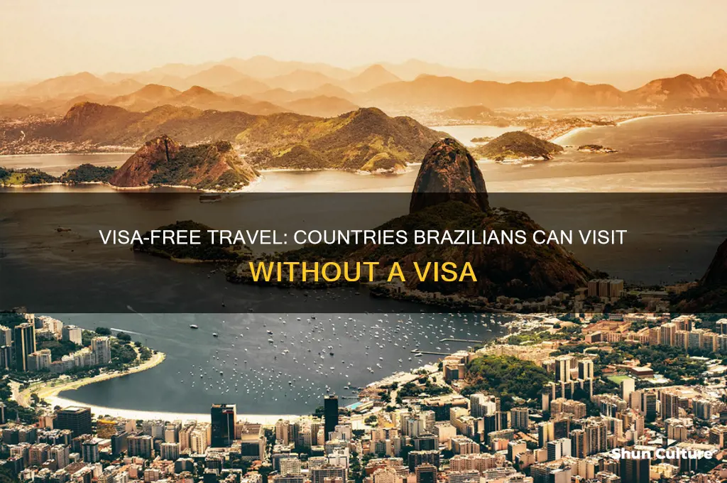 what countries can brazil visit without a visa