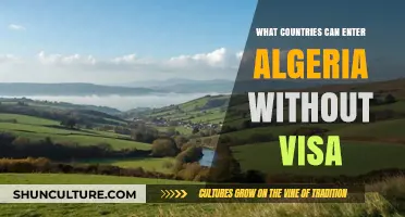 Algeria Visa-Free Entry: Which Countries Enjoy Hassle-Free Access?