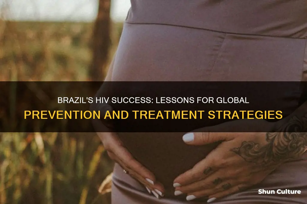 what countries can learn from brazil interms of stopping hiv