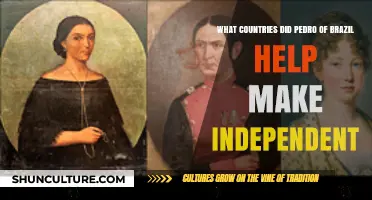 Pedro of Brazil's Legacy: Nations He Helped Liberate