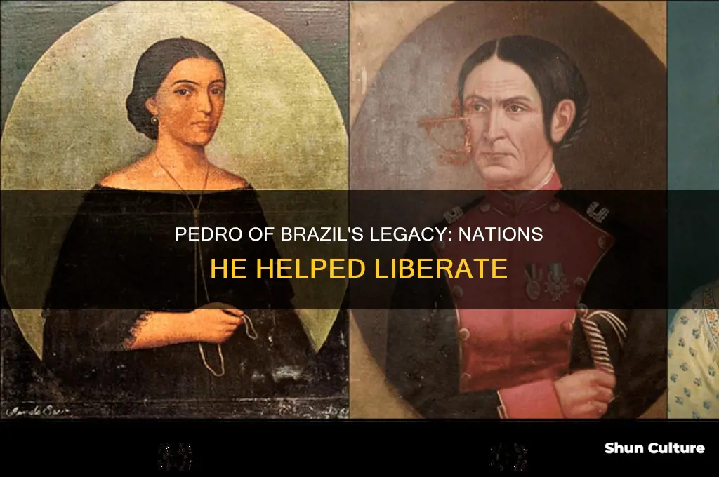 what countries did pedro of brazil help make independent