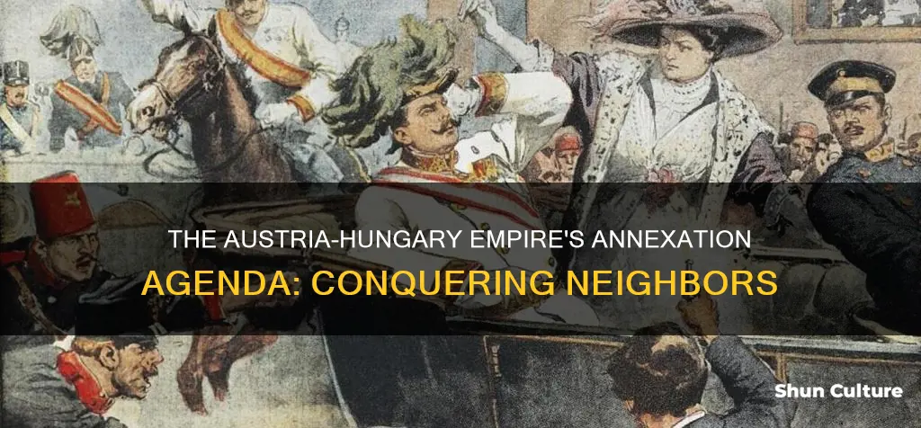 what countries did the austria hungary empire anex