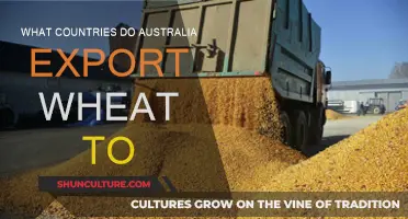 Australia's Wheat Exports: Where Does It Go?