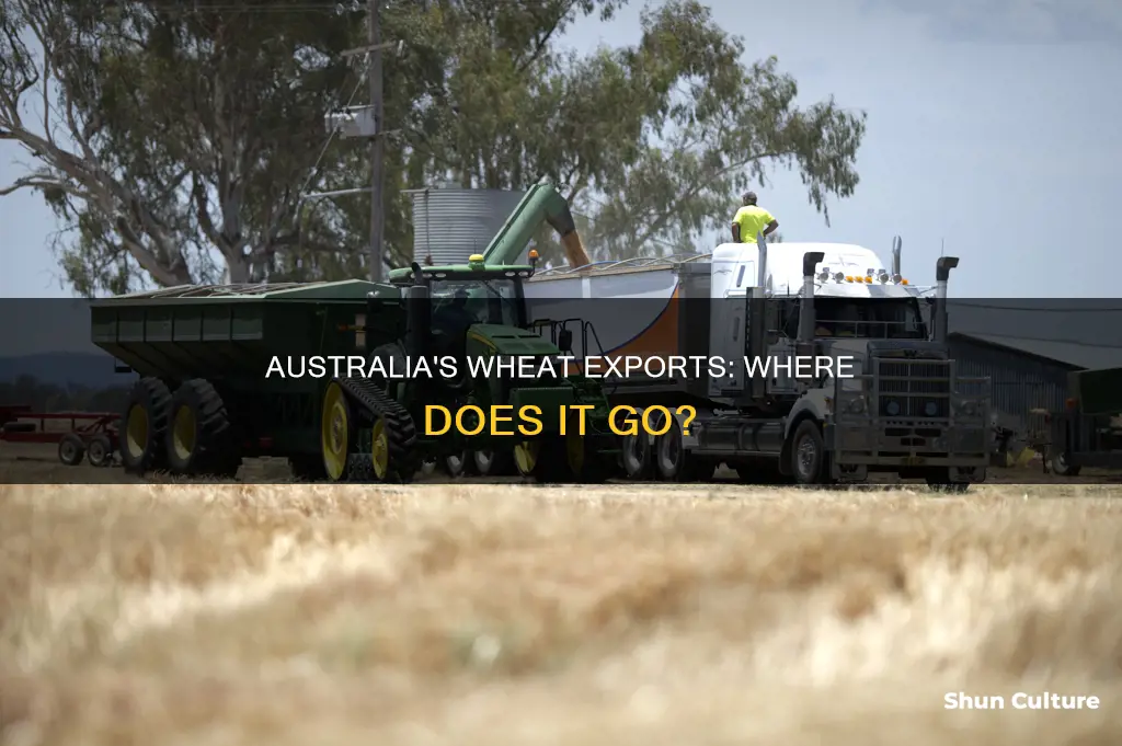 what countries do australia export wheat to
