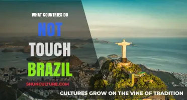 Exploring South America: Which Nations Border Brazil and Which Don't?