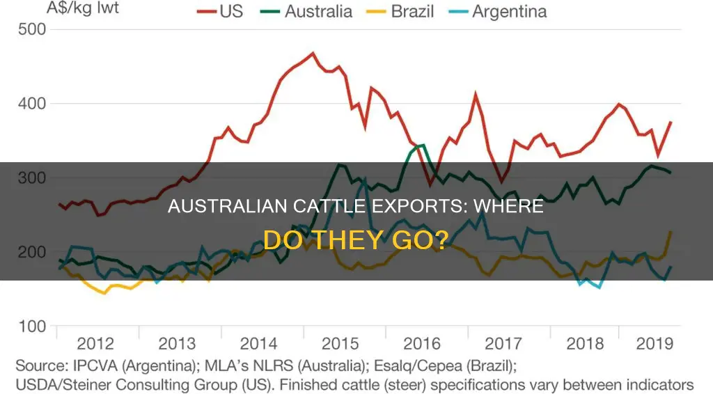 what countries does australia export cattle to