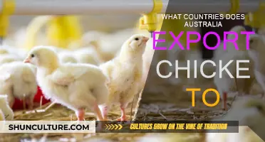 Chicken Exports: Where Does Australia Send Its Poultry?