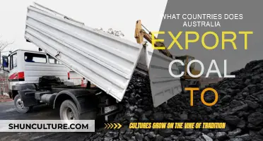 Australia's Coal Export Destinations: A Comprehensive Overview