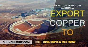 Australian Copper Exports: Which Countries Import?