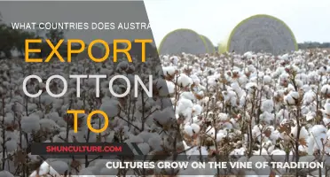 Australian Cotton Exports: Where Does It Go?