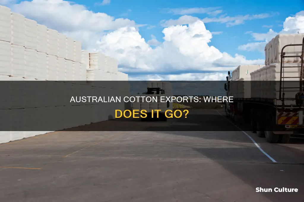 what countries does australia export cotton to