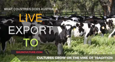 Australian Live Exports: Where Do They Go?