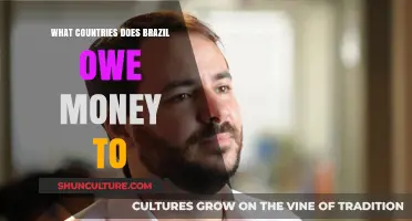 Brazil's Debt: Which Countries Hold Its Financial Obligations?