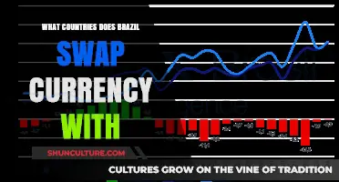 Brazil's Currency Swap Partners: Exploring International Financial Agreements