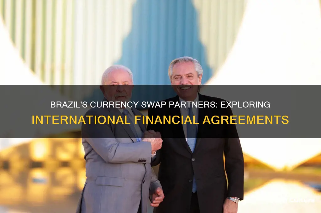 what countries does brazil swap currency with