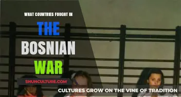 The Bosnian War: Nations Involved and Their Roles in Conflict